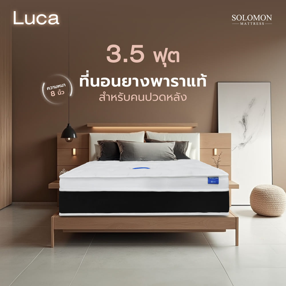 ที่นอน 3.5 ฟุต SOLOMON รุ่น LUCA หนา 8 นิ้ว